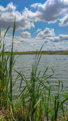 Obraz premium Landscape with a lake and clouds in the sky in the summer season