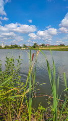 Landscape with a lake and clouds in the sky in the summer season