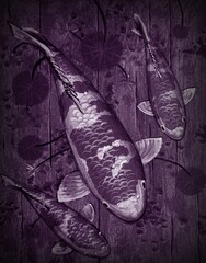 Fancy Carp Fish Oil Painting , Auspiciousness , koi   in the dark purple