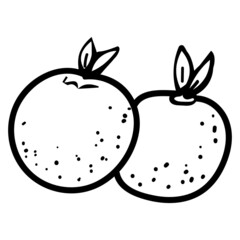 Tangerines for the New Year are Symbols of Happiness and a Rich Life Vector Doodle Illustration