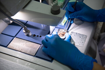 Medical scientists are placing biopsies for pathological examination.