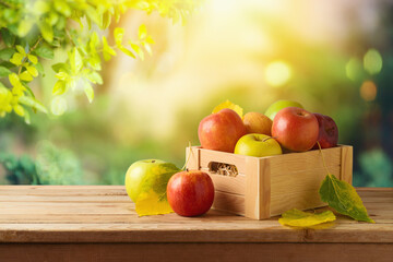 Apples in wooden box on table. Autumn and fall harvest background