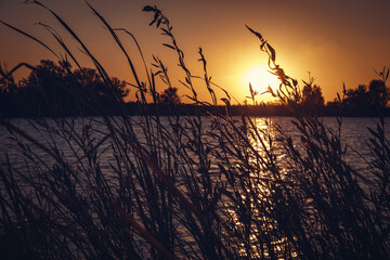 sunset over the lake