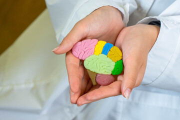 brain in hands of doctor. Brain health concept. Multi-colored human brain in palms. It symbolizes intelligence. medic in white coat. Taking care of human intelligence.