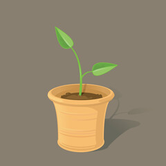 Illustration of a tiny seedling growing in a pot