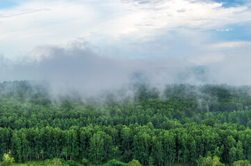 Clouds above the Forest after rain