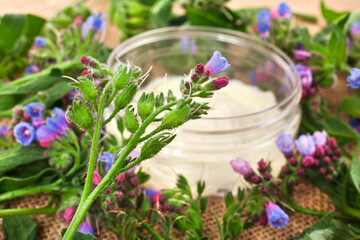 The Common Comfrey (Symphytum officinale) herb with jar of cosmetic cream on a jute background.