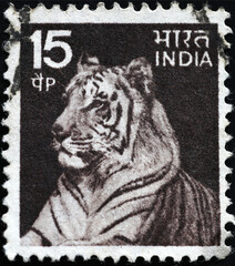 Tiger on ancient indian postage stamp
