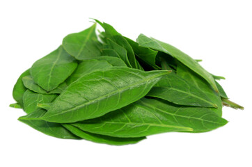 Fresh green henna leaves isolated on white background