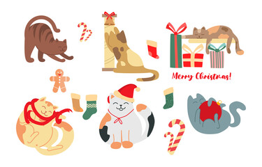 Collection of Christmas cats. Cute sticker with fluffy pet, Christmas gift, sweet and sock. Design element for postcard, poster and social network. Flat vector collection isolated on white background