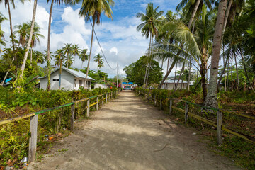 Fototapeta premium One of the streets in the small town of Friwin, surrounded by humble little houses and tropical green plants, Raja Ampat, West Papua, Indonesia
