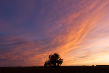 A colorful, dramatic, orange and purple sunset over and a lone, isolated tree