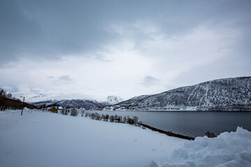 Fototapeta na wymiar Cold freezing winter day view of a fjord with mountains covered in white snow, Northern Norway, near the city of Tromsø. Moody cloudy sky