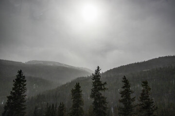 A misty, wide shot of a landscape with snow on winter mountains and pine trees