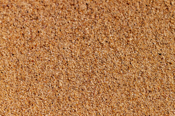 texture of the sand