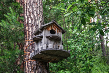 Wooden birdhouse on a tree in the park, close-up. An unusual birdhouse in the form of a house with a fence.