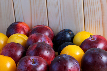 Ripe sweet plums of different varieties