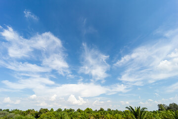 Obraz premium Clear blue sky with white fluffy clouds in the daytime over the forest.