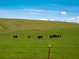 Ranch from days gone by, Folsom, California