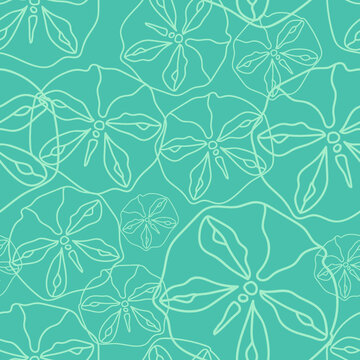 Beach and ocean elements