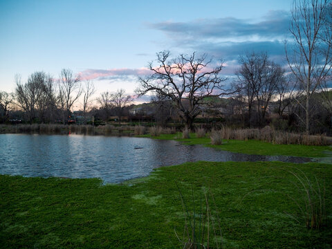 Buck Creek, El Dorado Hills, California