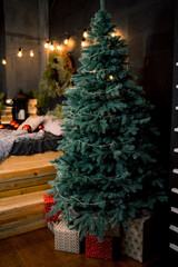 Christmas scene with tree with balls and lights in the background. Christmas lights hanging in a tree. Holidays concept