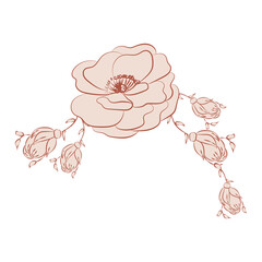 illustration brown beige nude flowers, one line drawing, line art, modern illustration and art, nature and plants minimalist design