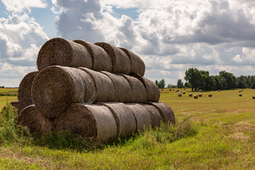 Bale siana na polu ułożone w stos © Marcin