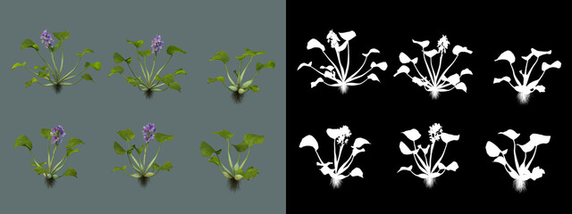 Beautifully arranged trees, plants and nature.
