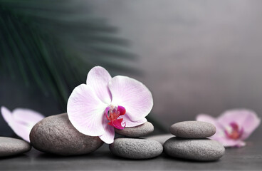 Fototapeta na wymiar Spa stones with palm branch and flower orchid on grey background.