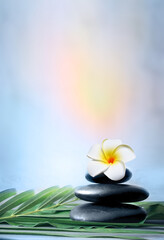 Spa stones with palm branch and flower on light background. Space for text