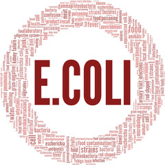 Escherichia Coli vector illustration word cloud isolated on a white background.