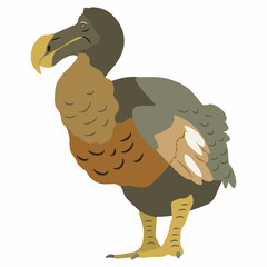 Extinct bird Dodo. (Raphus cucullatus). Flat cartoon style. Isolated vector illustration. © Olena