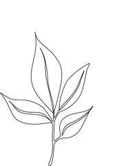 Botanical plants line