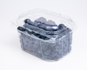 Perfect blueberry on the white background