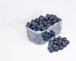 Perfect blueberry on the white background