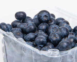 Perfect blueberry on the white background