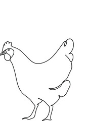 chicken