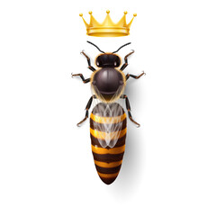 Realistic Bee Queen Mother with Golden Crown. Detailed Illustration of a Queen Bee on White Background. Macro Insect, Concept of Food Industry, or Beekeeping