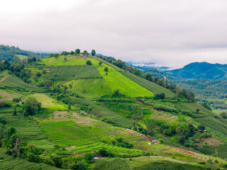 landscape of fresh green rice terrace and corn field on mountain  slope with white cloudy sky at Pa Bongpiang village in rainy season, Chiangmai, Thailand 