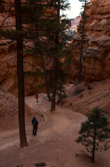 Hiking by Navajo trail.Between cliff (as the Wall Street)