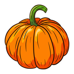Pumpkin Illustration. Autumn Food Icon. Ripe squash sketch. Element for autumn decorative design, halloween invitation, harvest, sticker, print, logo, menu, recipe