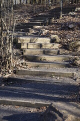 Trail Steps