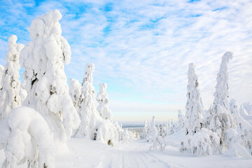 Majestic winter in Finland