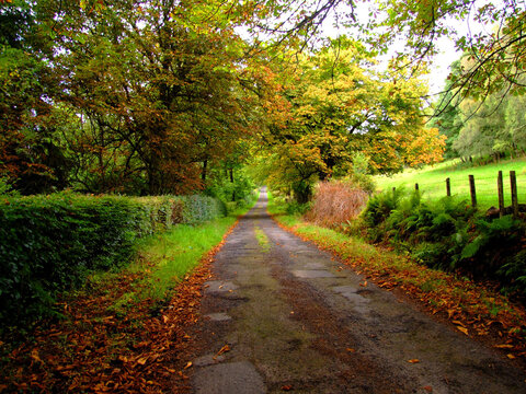 rural road