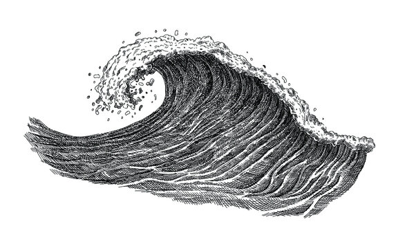 Sea wave sketch. Hand drawn ocean tidal storm waves isolated on white background for surfing and seascape. Close up of sea tide. Travel and vacations concept. Vector illustration in sketch style.