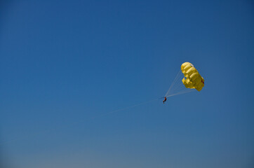 Fototapeta paragliding in the blue sky obraz