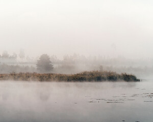 A foggy morning on the river. Landscape.