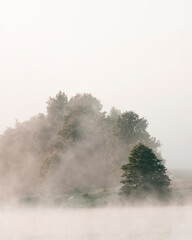 The river bank on a foggy morning. Landscape. Vertical orientation.