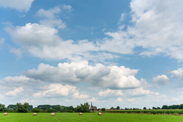 Fototapeta premium View over the village of Aerdt with Dorpskerk (village church) in Gelderland, The Netherlands